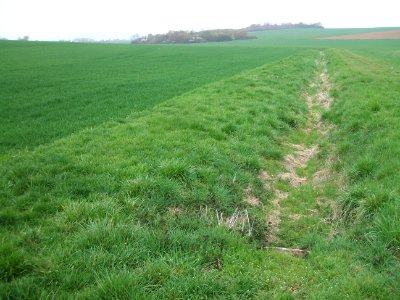 Säckelgraben oberhalb Weg Steinfurth