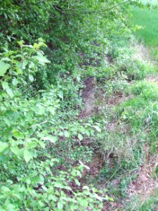 Säckelgraben Sohle vor Brücke Durchlass A 5