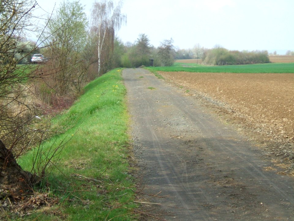 Säckelgraben an B 3 mit Gehölzen
