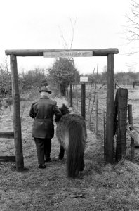 Rusthuis voor paarden, Bestanddeelnr 913-5034