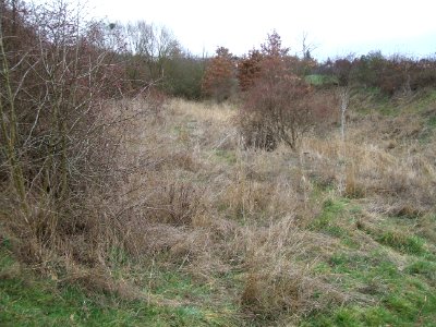 Säckelgraben Inneres Staubecken