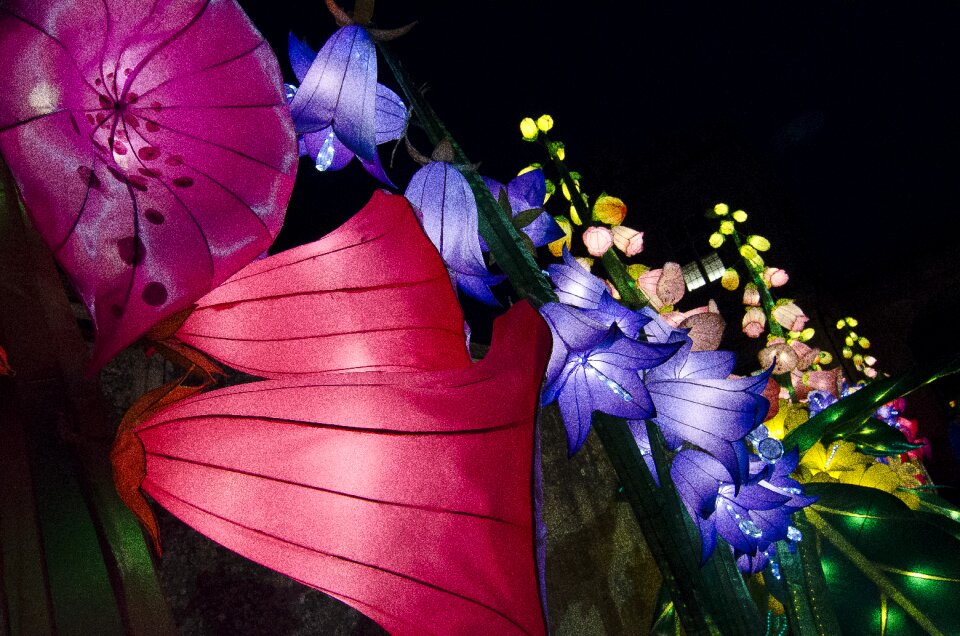Festival oriental night