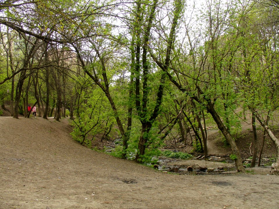 Ryabinin arroyo-2