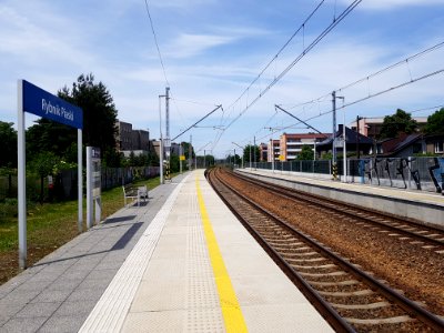 Rybnik Piaski (3)
