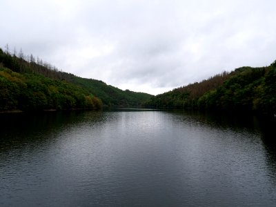 Rurtalsperre Obersee Urft in September 2019 08