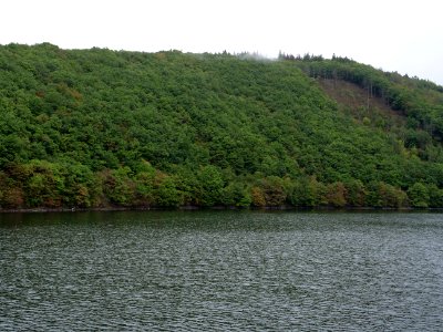 Rurtalsperre Obersee Urft in September 2019 05