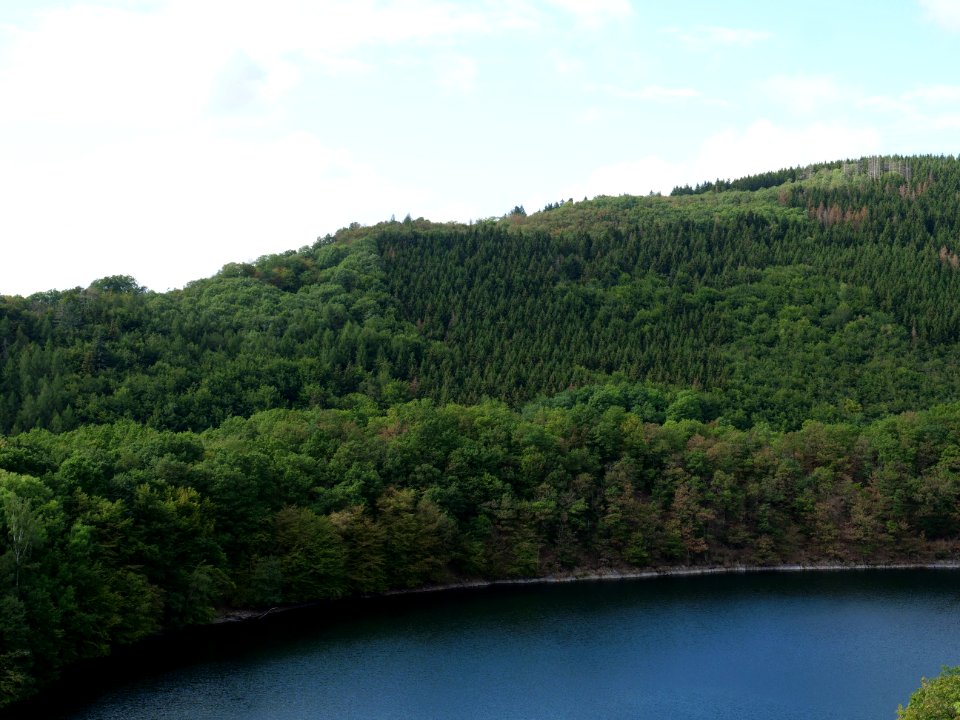 Rurtalsperre Obersee Urft from Urftdam in September 2019 09