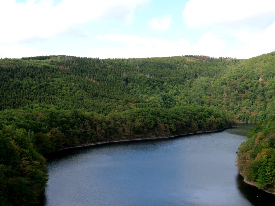 Rurtalsperre Obersee Urft from Urftdam in September 2019 18