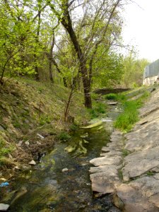 Ryabinin brook top