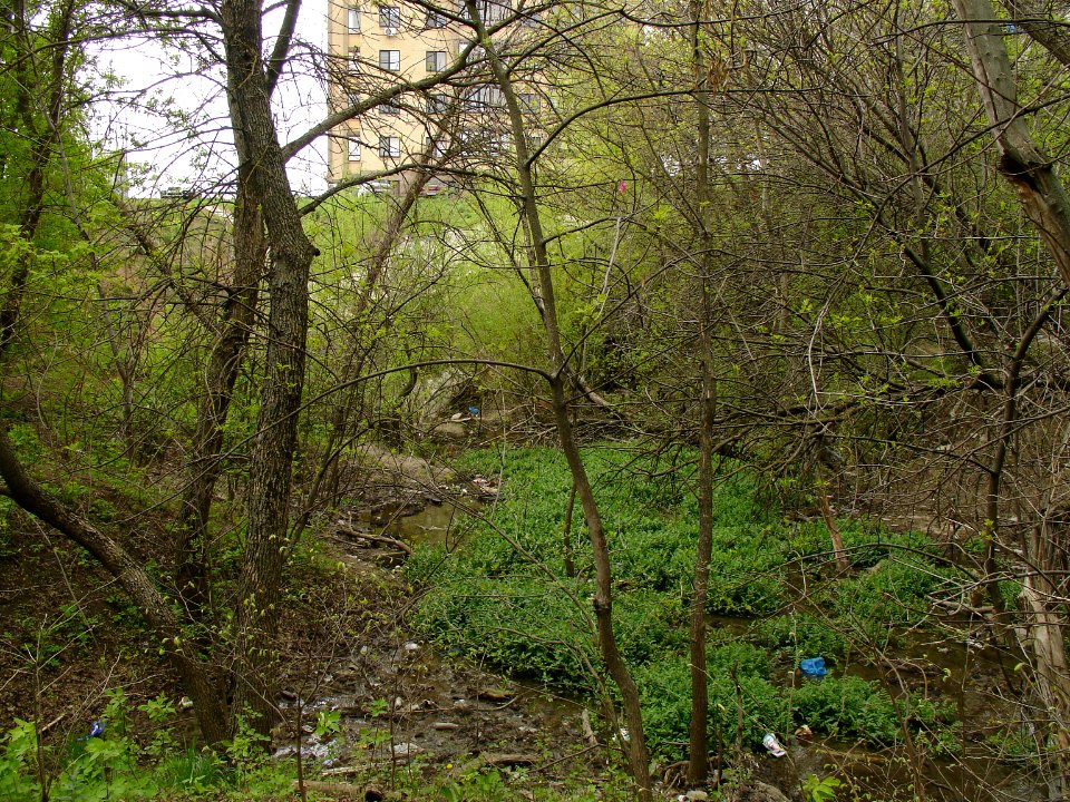 Ryabinin brook-4