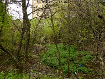 Ryabinin brook-4