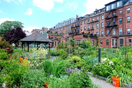 Rutland & Washington Community Garden - Boston, MA - DSC06793