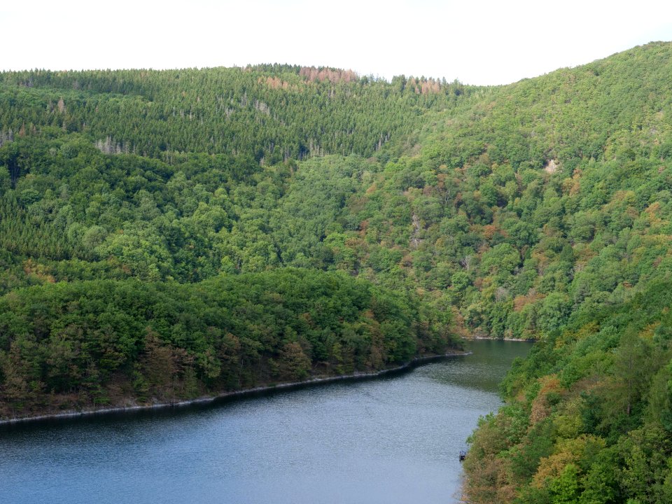 Rurtalsperre Obersee Urft from Urftdam in September 2019 16