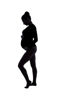 Pregnancy silhouette family