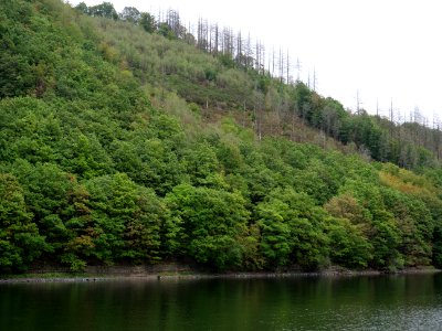 Rurtalsperre Obersee Urft in September 2019 07