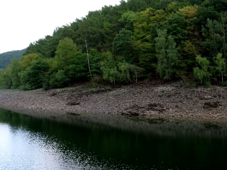 Rurtalsperre in September 2019 35