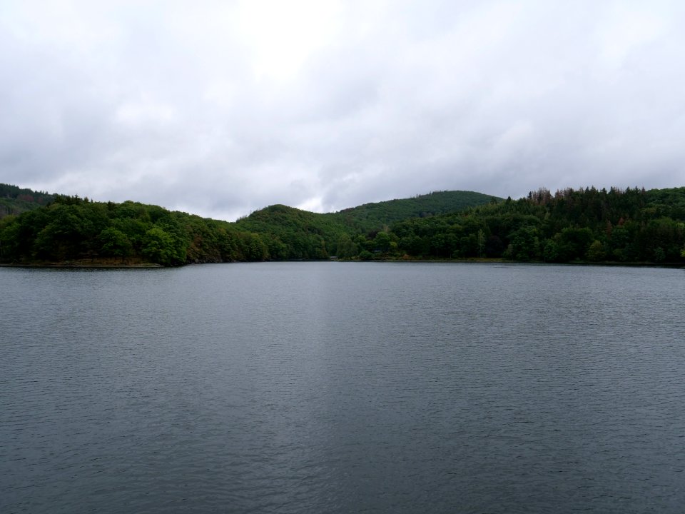 Rurtalsperre Obersee near Paulushofdamm in September 2019 24