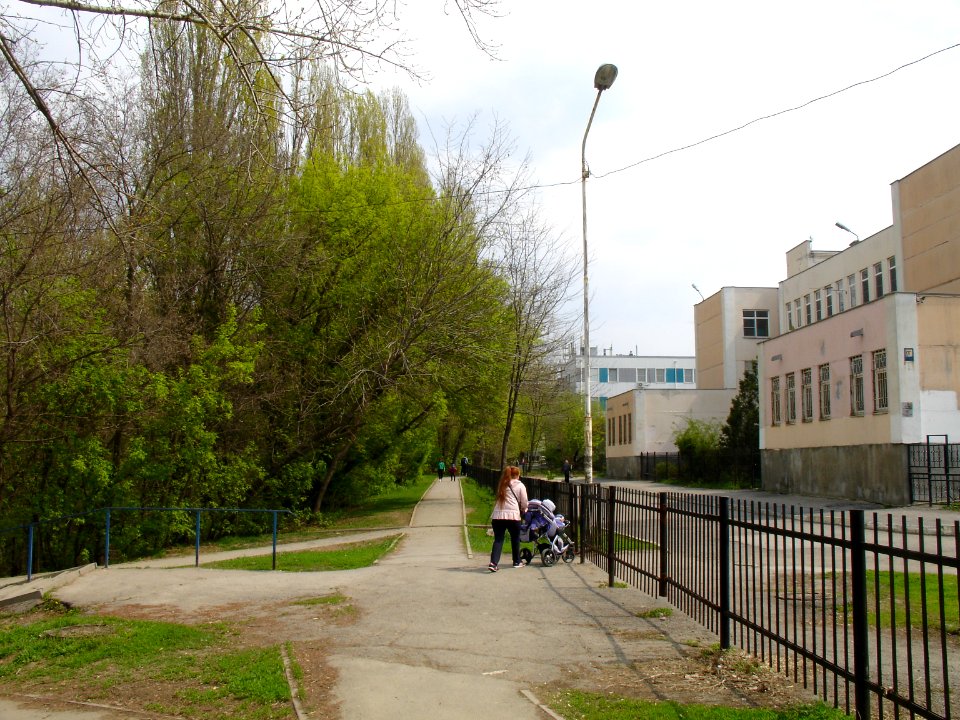 Ryabinin arroyo and school