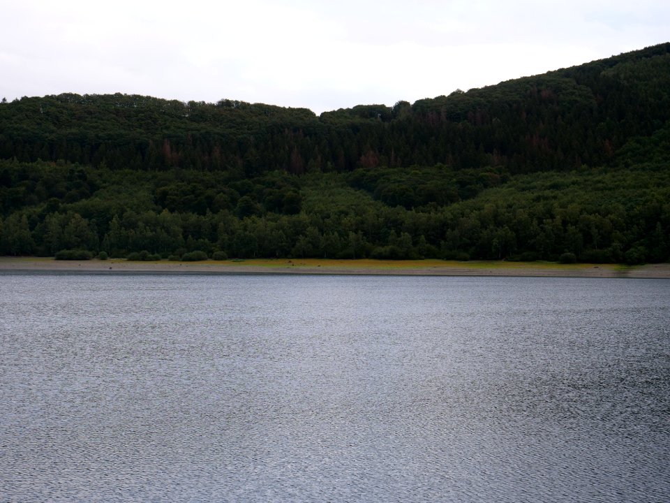 Rurtalsperre in September 2019 45