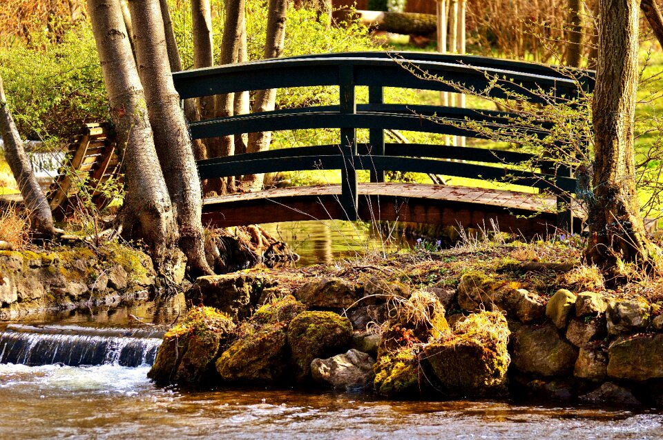 Nature bridge brook web photo