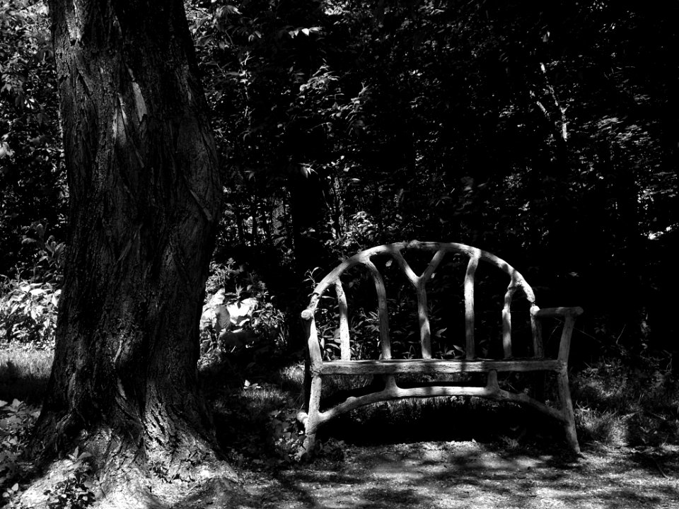 Rustic Bench, 2015-05-24, Frick Park, 01