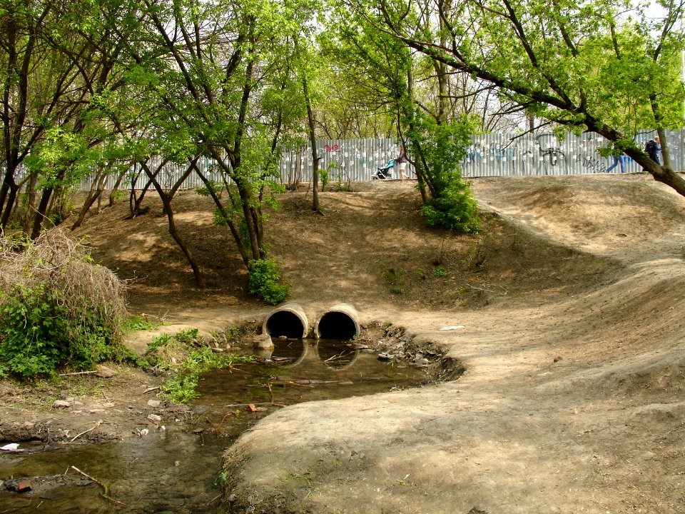 Ryabinin brook-2