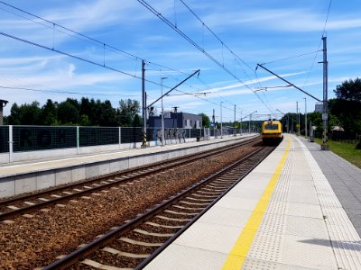 Rybnik Piaski (7)