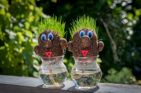 Garden green toy