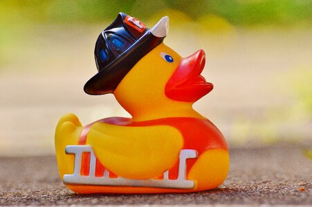 Quietscheente funny summer cute