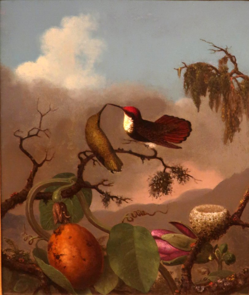 Ruby Topaz by Martin Johnson Heade