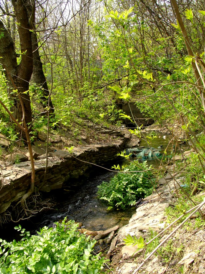 Ryabinin brook-1