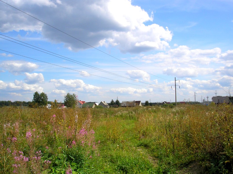 Rubtsovo 1