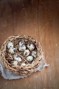 Small eggs natural product easter