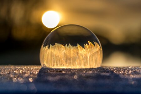 Frost frozen bubble wintry photo