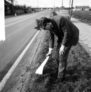 Rubber paal langs de verkeerswegen op de weg Haarlem Schiphol, Bestanddeelnr 917-3964