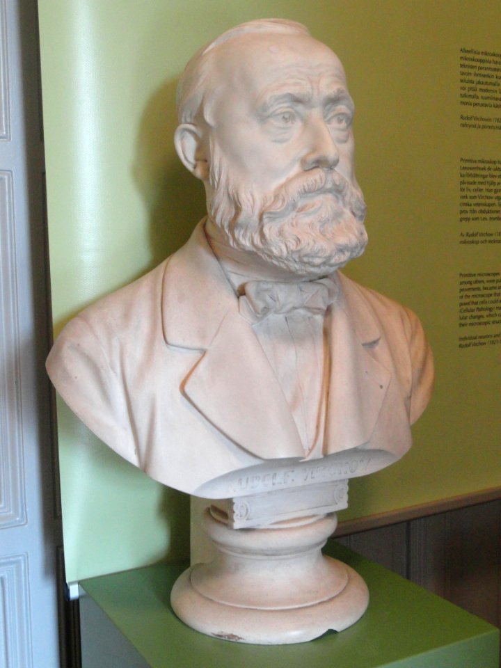 Rudolf Virchow by Bernhard Afinger (copy) - Arppeanum - DSC05435
