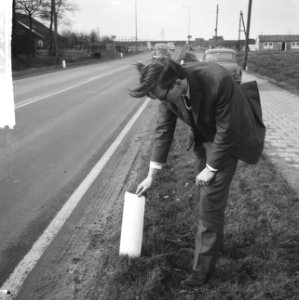 Rubber paal langs de verkeerswegen op de weg Haarlem Schiphol, Bestanddeelnr 917-3966