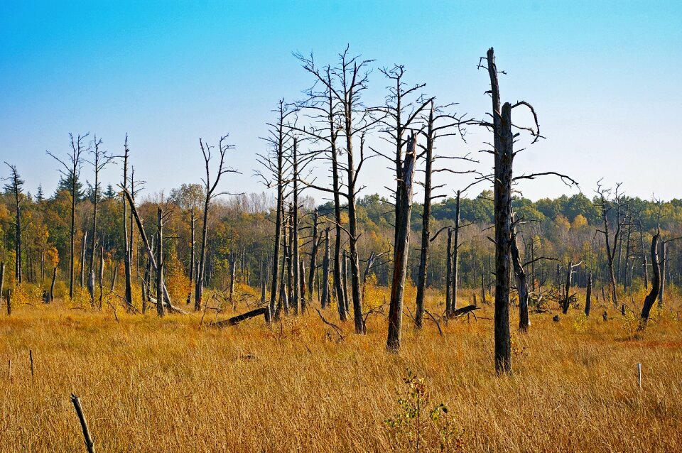 Environment environmental protection sensitive