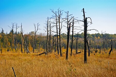 Environment environmental protection sensitive