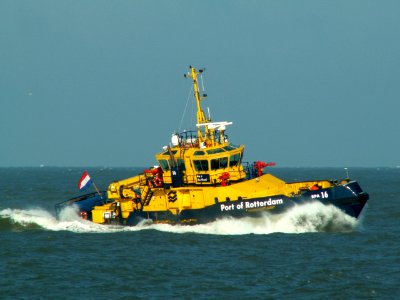 RPA16 p1a
