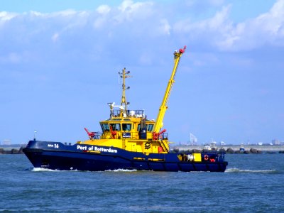 RPA 16 29aug07