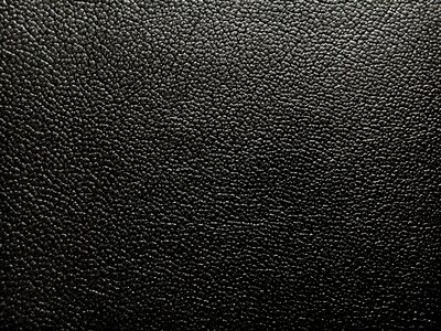 Goatskin gray texture gray bible