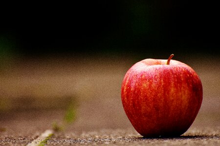 Fruit ripe red apple