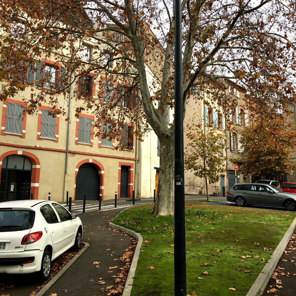 Rue des Moulins - Toulouse 2016-11-26