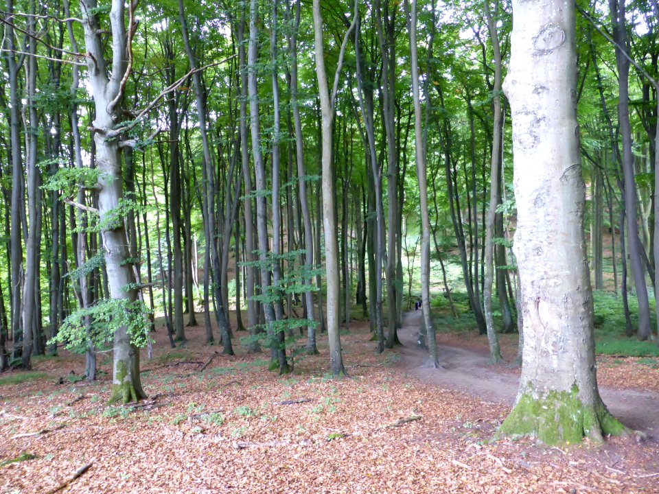Ruegen-2016-08-27-4