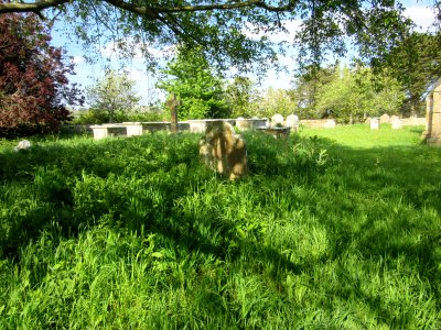 Ruins of Old St Swithun's Church, Thorley Road, Thorley (May 2016) (Churchyard) (1)