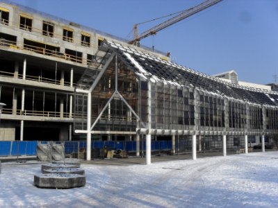Rozestavenost na Namesti Svobody, Teplice (16. ledna 2013) 10