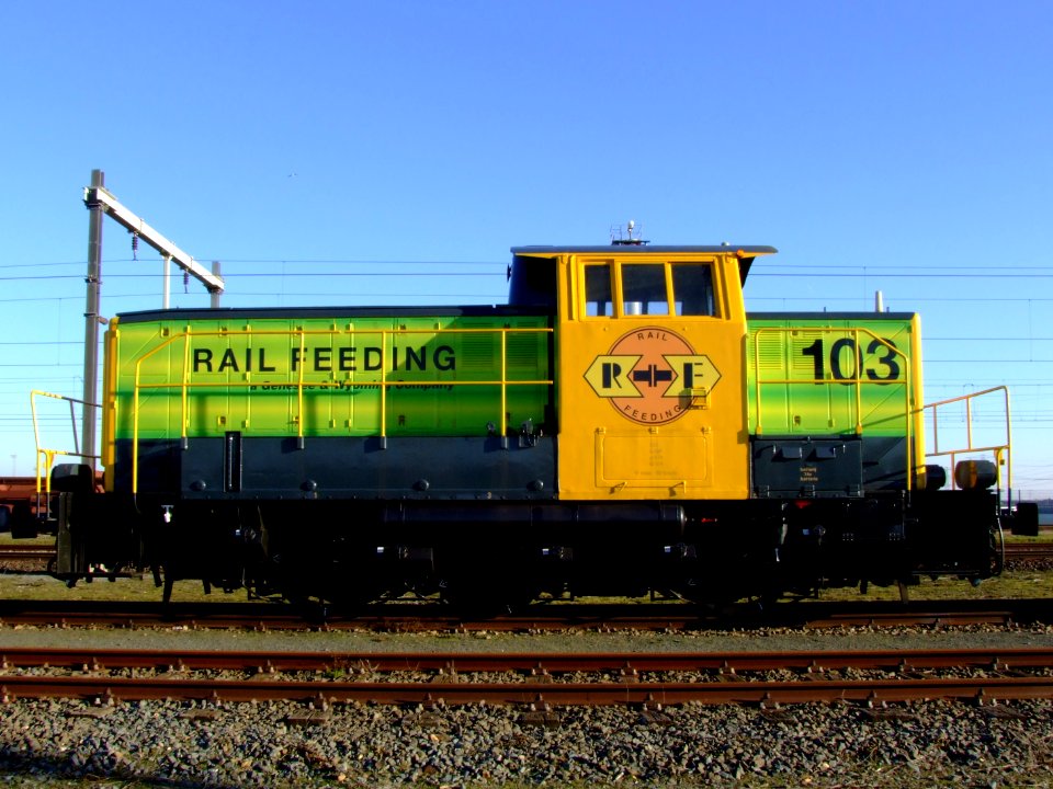 RRF 103 pic1