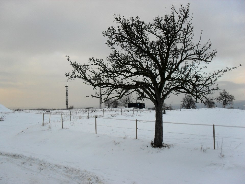 Rozestavěnost v Bystřanech - prázdná parcela 31. ledna 2010 C
