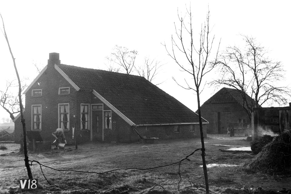Ruilverkavelingen, huizen, bomen, Bestanddeelnr 170-1049